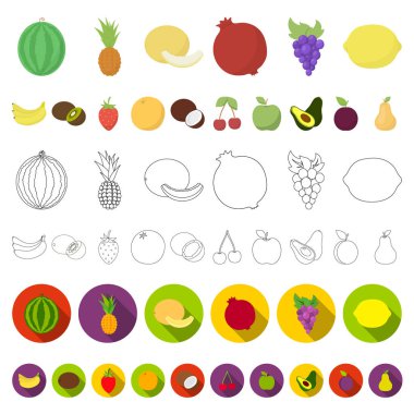 Farklı meyve set koleksiyonu tasarım için simgeleri karikatür. Meyve ve vitaminler sembol stok web illüstrasyon vektör.