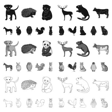 Gerçekçi hayvanları kutsal kişilerin resmi içinde set koleksiyonu tasarım için karikatür. Yerli ve vahşi hayvanlar sembol stok web illüstrasyon vektör.