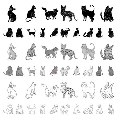 Doğurmak-in cats set koleksiyonu tasarım için simgeleri karikatür. Evde beslenen hayvan kedi vektör simge stok web çizim.