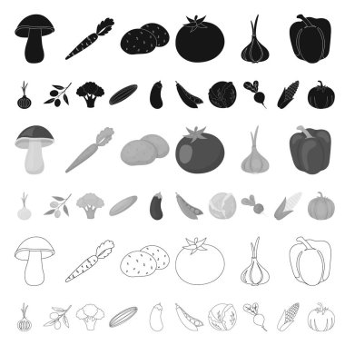 Sebze çeşitleri set koleksiyonu tasarım için simgeleri karikatür. Sembol stok web illüstrasyon vektör sebze ve vitaminler.