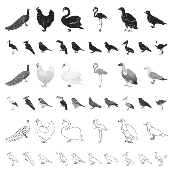 Types of birds cartoon icons in set collection for design. Home and wild bird vector symbol stock web illustration. — Stock Vector