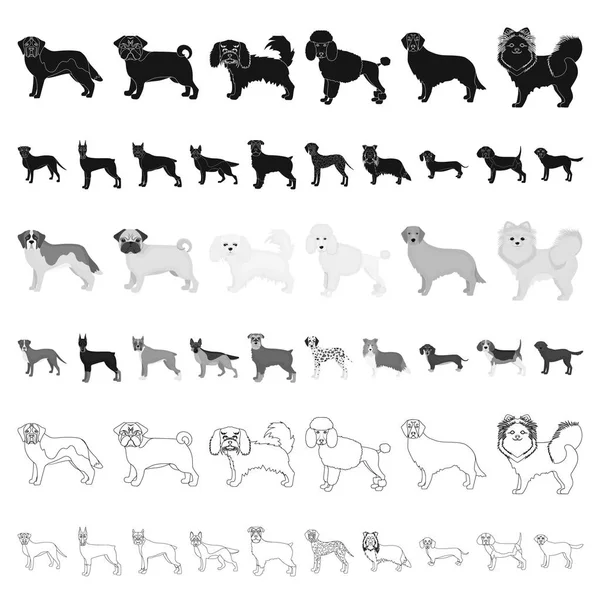 Chien races icônes de dessin animé dans la collection ensemble pour design.Dog animal de compagnie vecteur symbole stock illustration web . — Image vectorielle