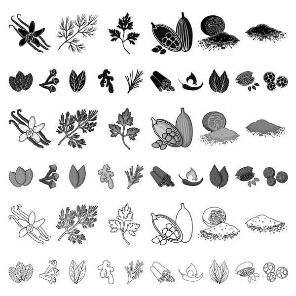 Ícones de desenhos animados de ervas e especiarias na coleção de conjuntos para design.Different tipos de seasonings símbolo vetorial ilustração web . —  Vetores de Stock