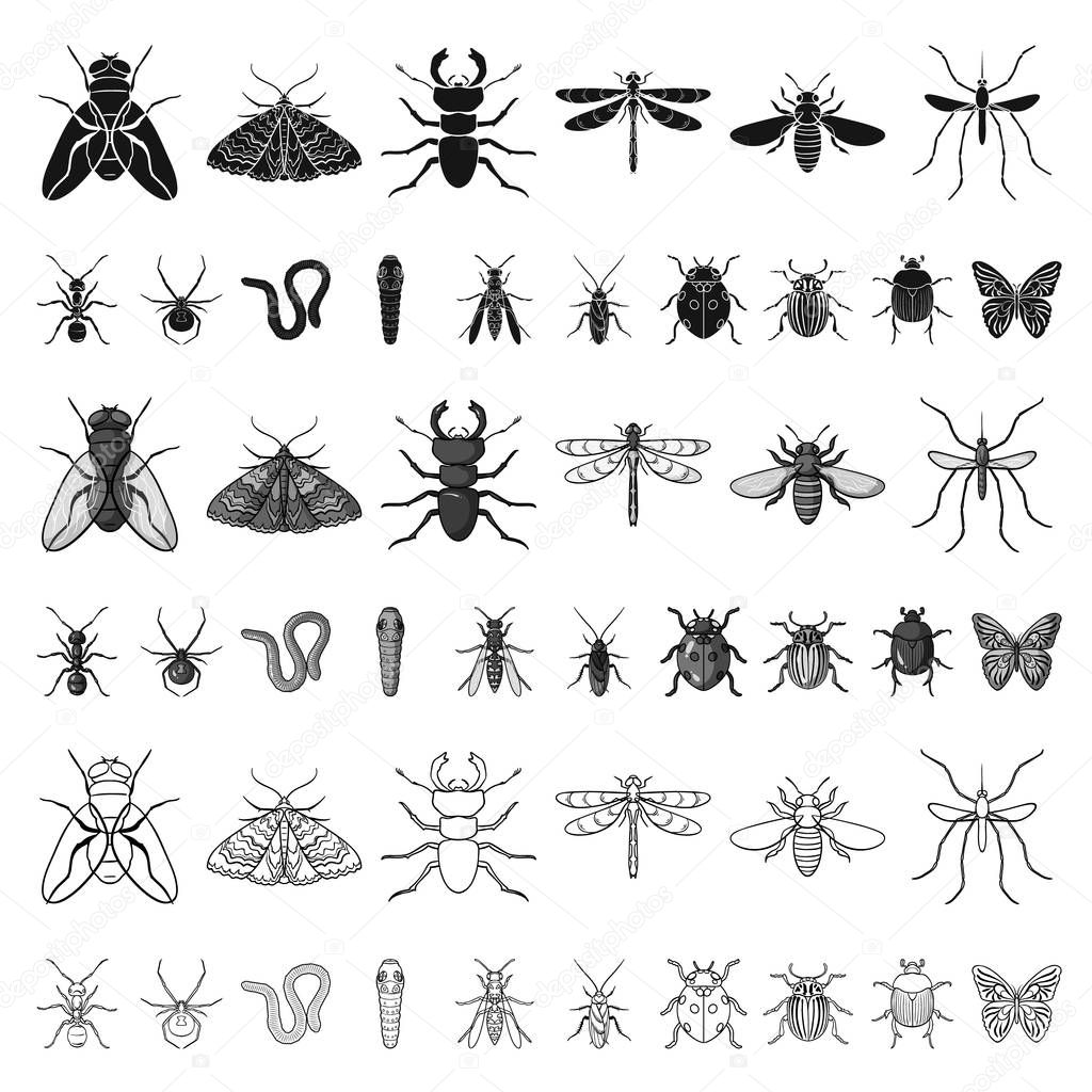 Different kinds of insects cartoon icons in set collection for design. Insect arthropod vector symbol stock  illustration.