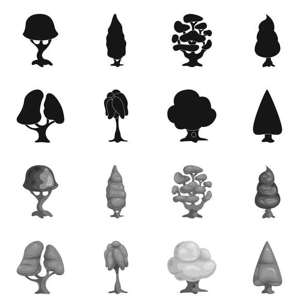 Conception vectorielle de l'arbre et du symbole de la nature. Collection d'illustrations vectorielles d'arbres et de cimes . — Image vectorielle