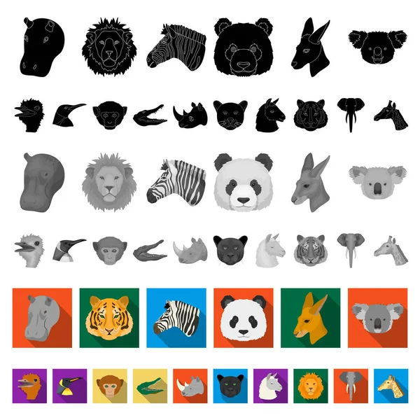 Iconos planos de animales salvajes en la colección de conjuntos para el diseño. Mamíferos y aves vector símbolo stock web ilustración . — Vector de stock