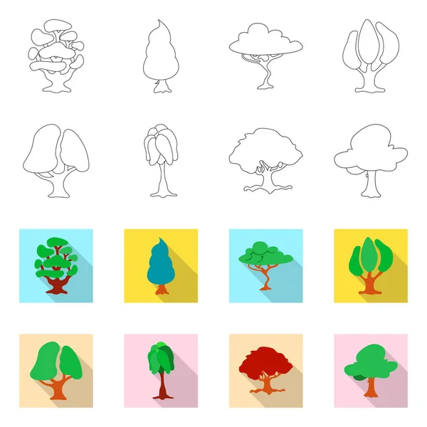 Ilustração vetorial de árvore e sinal de natureza. Conjunto de árvore e coroa vetor ícone para estoque . — Vetor de Stock