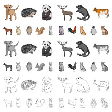 Gerçekçi hayvanları kutsal kişilerin resmi içinde set koleksiyonu tasarım için karikatür. Yerli ve vahşi hayvanlar sembol stok web illüstrasyon vektör.