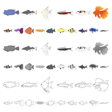 Farklı türde balık set koleksiyonu tasarım için simgeleri karikatür. Deniz ve akvaryum balık sembol stok illüstrasyon vektör.