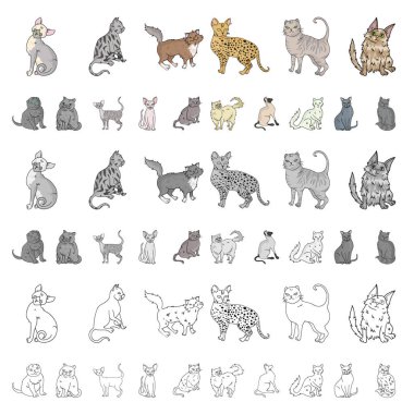 Doğurmak-in cats set koleksiyonu tasarım için simgeleri karikatür. Evde beslenen hayvan kedi vektör simge stok web çizim.
