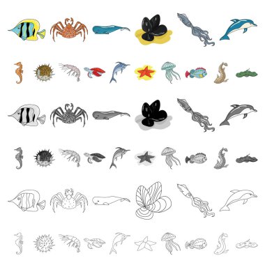 Deniz hayvanları çeşitli karikatür set koleksiyonu tasarım için simgeler. Balık ve kabuklu deniz ürünleri sembol stok web illüstrasyon vektör.