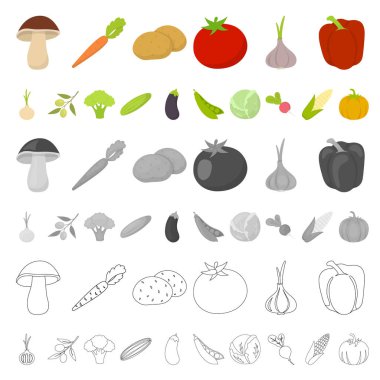 Sebze çeşitleri set koleksiyonu tasarım için simgeleri karikatür. Sembol stok web illüstrasyon vektör sebze ve vitaminler.