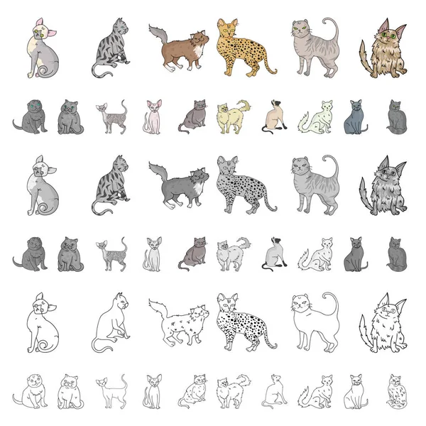 Races de chats icônes de dessin animé dans la collection de jeu pour le design. Animaux chat vecteur symbole stock web illustration . — Image vectorielle