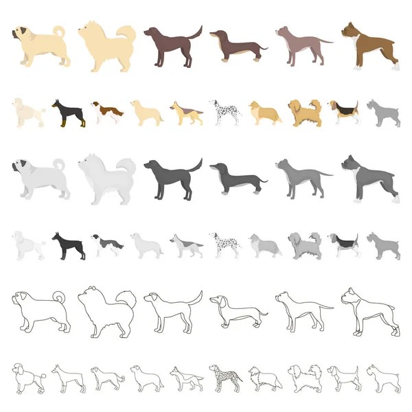 Dog breeds cartoon icons in set collection for design.Dog pet vector symbol stock web illustration. — Stock Vector