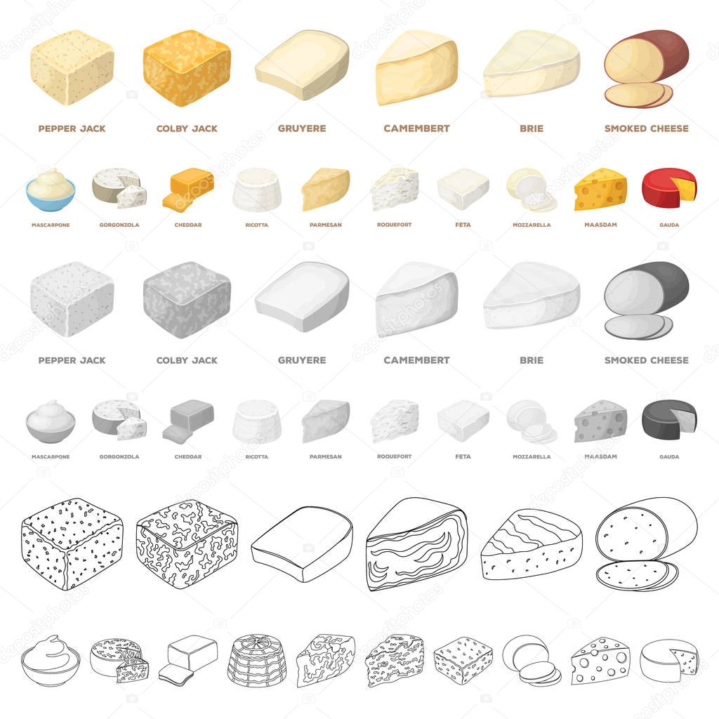 Different kind of cheese cartoon icons in set collection for design.Milk product cheese vector symbol stock  illustration.