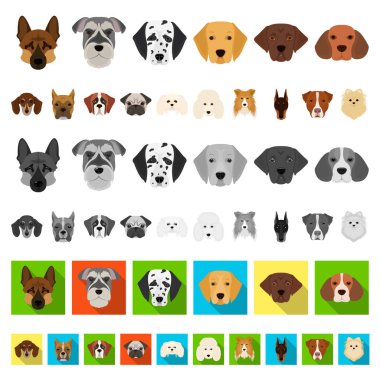 Köpek ırkları set koleksiyonu tasarım için simgeleri karikatür. Bir köpek vektör simge stok web illüstrasyon namlu.