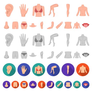 Vücut, bacak karikatür simgeleri tasarım için küme toplama bir parçası. İnsan anatomisi vektör simge stok web çizimi.