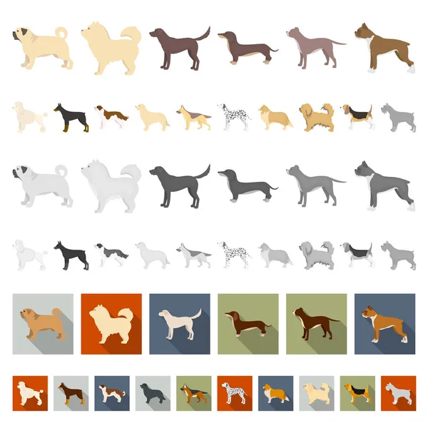 Cão raças desenhos animados ícones na coleção de conjuntos para design.Dog animal de estimação símbolo vetorial ilustração web . —  Vetores de Stock