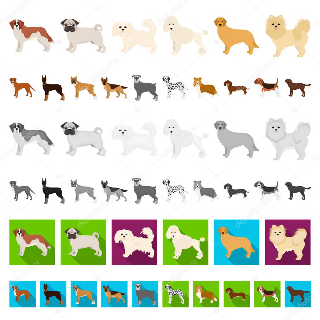Dog breeds cartoon icons in set collection for design.Dog pet vector symbol stock  illustration.
