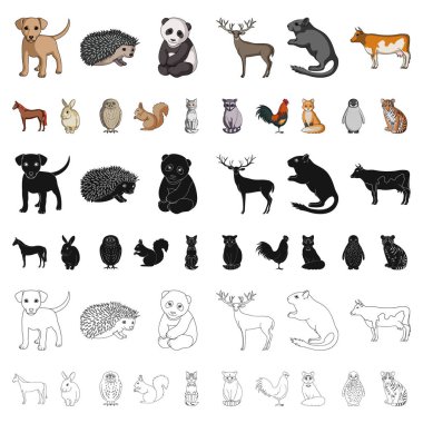 Gerçekçi hayvanları kutsal kişilerin resmi içinde set koleksiyonu tasarım için karikatür. Yerli ve vahşi hayvanlar sembol stok web illüstrasyon vektör.