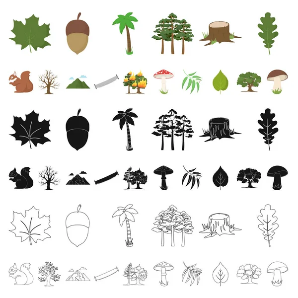 Δάσος και χαρακτήρα κινουμένων σχεδίων εικονίδια στη συλλογή σετ για σχεδιασμό. Δάσος ζωή διάνυσμα σύμβολο μετοχής web εικονογράφηση. — Διανυσματικό Αρχείο