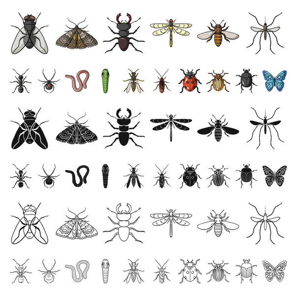 Different kinds of insects cartoon icons in set collection for design. Insect arthropod vector symbol stock web illustration.