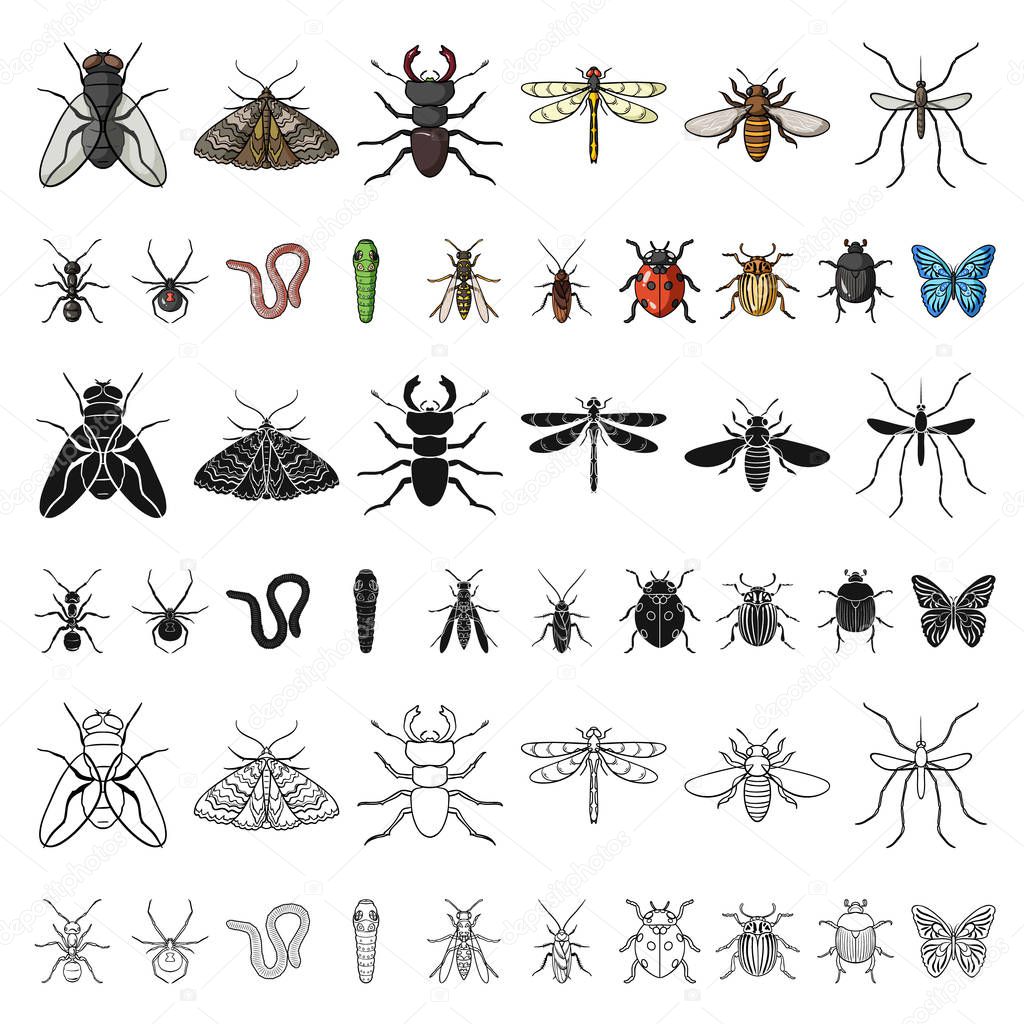 Different kinds of insects cartoon icons in set collection for design. Insect arthropod vector symbol stock  illustration.