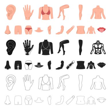 Vücut, bacak karikatür simgeleri tasarım için küme toplama bir parçası. İnsan anatomisi vektör simge stok web çizimi.