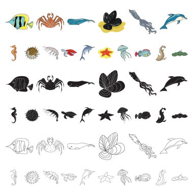 Deniz hayvanları çeşitli karikatür set koleksiyonu tasarım için simgeler. Balık ve kabuklu deniz ürünleri sembol stok web illüstrasyon vektör.