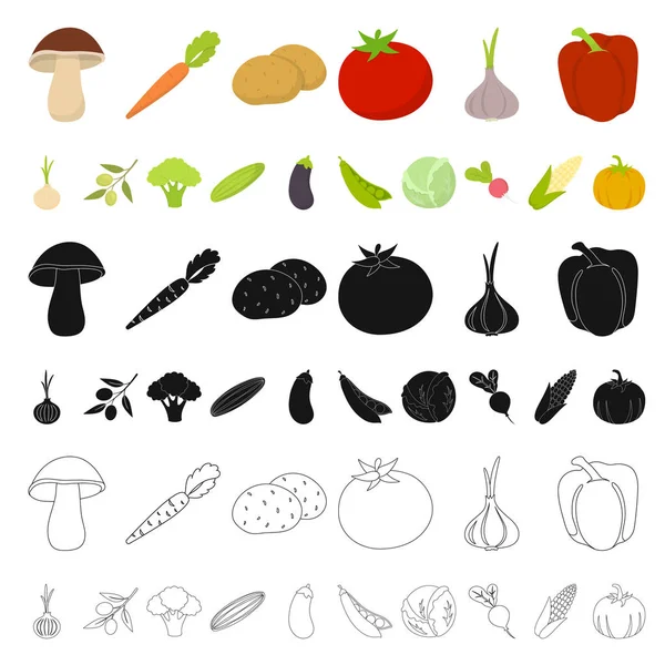 Diferentes tipos de ícones de desenhos animados vegetais na coleção de conjuntos para design. Vegetais e vitaminas símbolo vetorial web ilustração . — Vetor de Stock