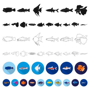 Farklı türde balık set koleksiyonu tasarım için simgeleri düz. Deniz ve akvaryum balık sembol stok web illüstrasyon vektör.