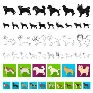 Köpek ırkları set koleksiyonu tasarım için simgeleri düz. Köpek evde beslenen hayvan vektör simge stok web çizim.