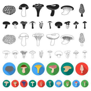 Poisonous and edible mushroom flat icons in set collection for design. Different types of mushrooms vector symbol stock web illustration.