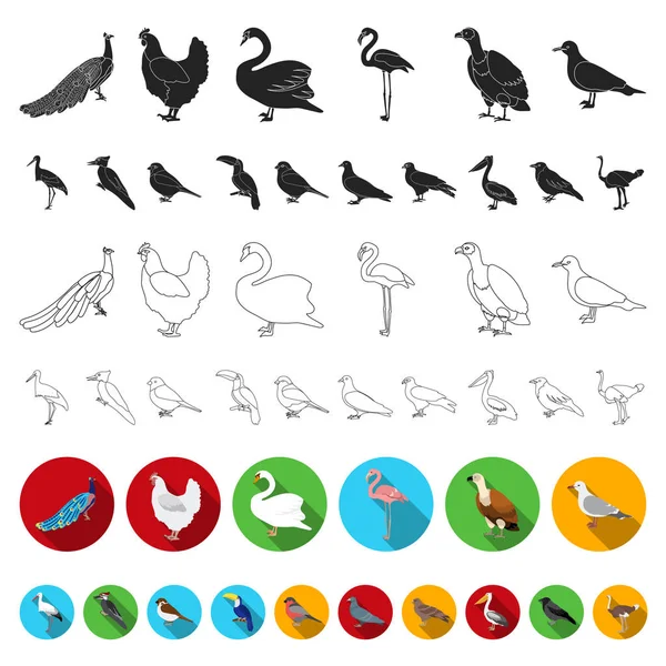 Types of birds flat icons in set collection for design. Home and wild bird vector symbol stock web illustration. — Stock Vector