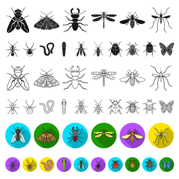 Different kinds of insects flat icons in set collection for design. Insect arthropod vector symbol stock web illustration. — Stock Vector