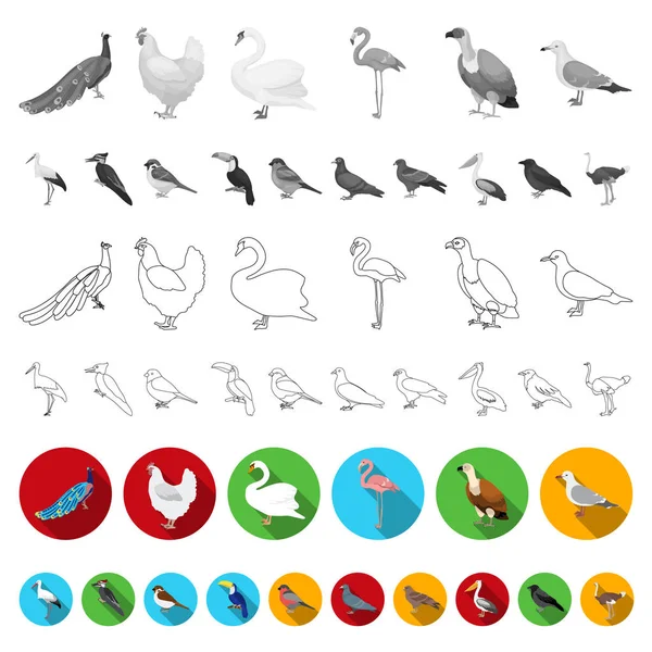 Types of birds flat icons in set collection for design. Home and wild bird vector symbol stock web illustration. — Stock Vector