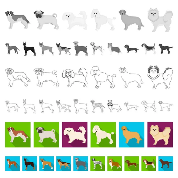 Chien de races d'icônes plates dans la collection ensemble pour le design.Dog animal de compagnie vecteur symbole stock illustration web . — Image vectorielle