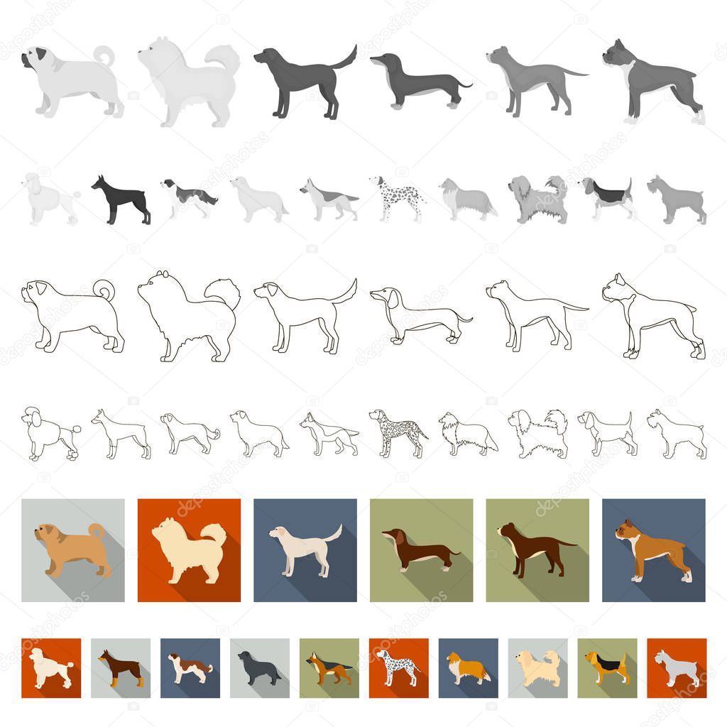 Dog breeds flat icons in set collection for design.Dog pet vector symbol stock  illustration.