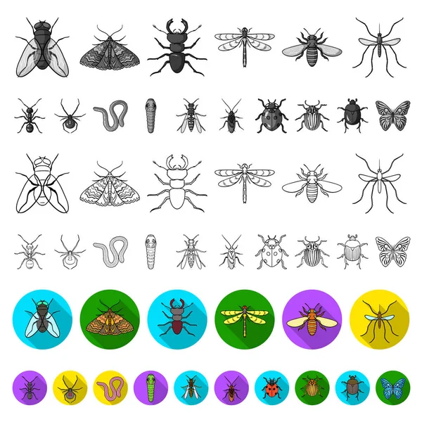 Diferentes tipos de insetos ícones planos na coleção de conjuntos para design. Inseto artrópode vetor símbolo web ilustração . — Vetor de Stock