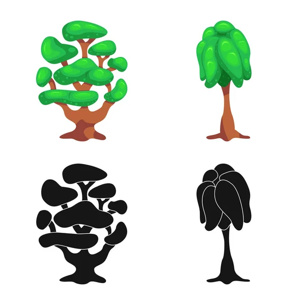 Diseño vectorial del icono del árbol y la naturaleza. Conjunto de árbol y corona icono vectorial para stock . — Archivo Imágenes Vectoriales