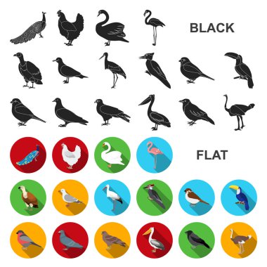 Kuş türleri set koleksiyonu tasarım için simgeleri düz. Ev ve vahşi kuş vektör simge stok web çizim.