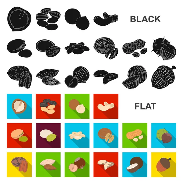 Diferentes tipos de nueces iconos planos en la colección de conjuntos para design.Nut Alimento vector símbolo stock web ilustración . — Archivo Imágenes Vectoriales