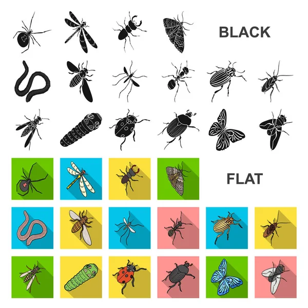 Diferentes tipos de insetos ícones planos na coleção de conjuntos para design. Inseto artrópode vetor isométrico símbolo estoque web ilustração . — Vetor de Stock
