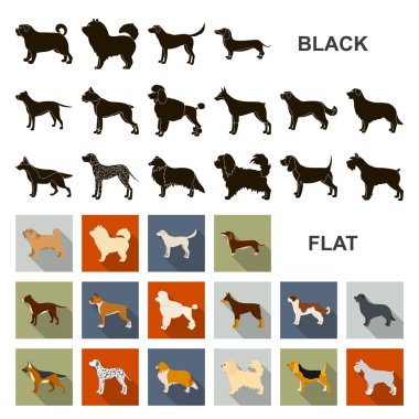 Köpek ırkları set koleksiyonu tasarım için simgeleri düz. Köpek evde beslenen hayvan vektör simge stok web çizim.