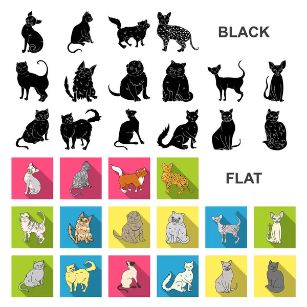 Rassen van katten plat pictogrammen in set collectie voor design. Huisdier kat vectorillustratie symbool voorraad web. — Stockvector