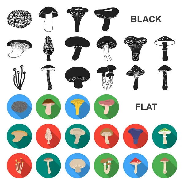 Jadalne i trujące grzyby ikony płaski w kolekcja zestaw do projektowania. Różnego rodzaju grzyby symbol web czas ilustracja wektorowa. — Wektor stockowy