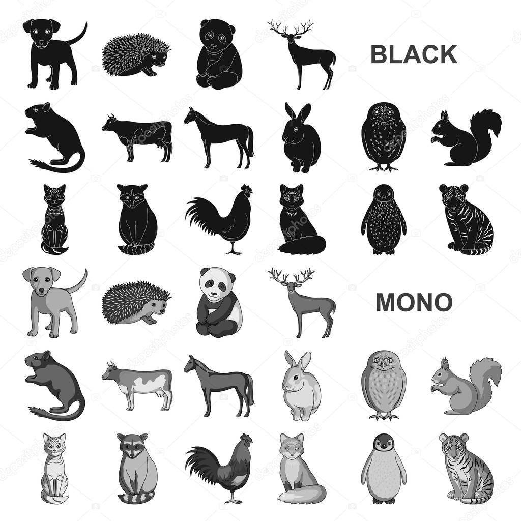 Realistic animals black icons in set collection for design. Wild and domestic animals vector symbol stock  illustration.