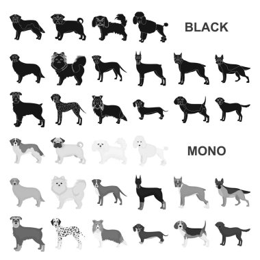 Köpek ırkları set koleksiyonu tasarım için simgeler siyah. Köpek evde beslenen hayvan vektör simge stok web çizim.