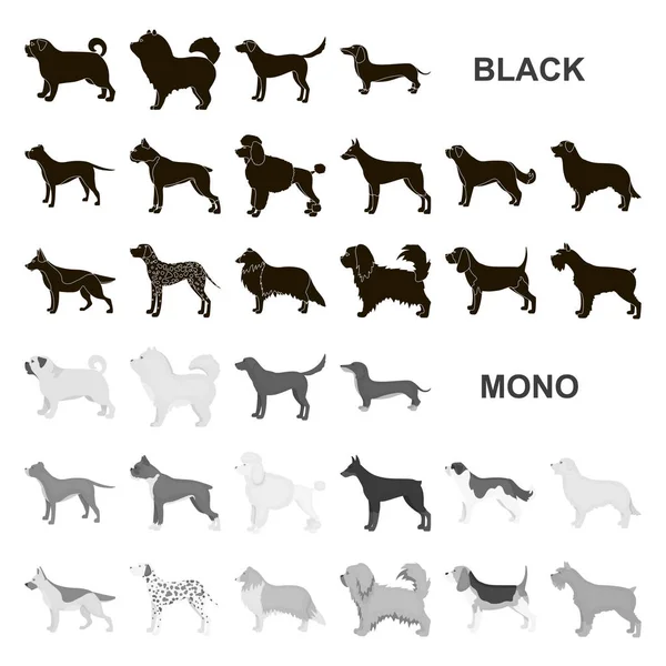 Köpek ırkları set koleksiyonu tasarım için simgeler siyah. Köpek evde beslenen hayvan vektör simge stok web çizim.