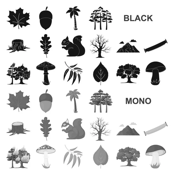 Δάσος και φύση μαύρο εικονίδια στη συλλογή σετ για σχεδιασμό. Δάσος ζωή διάνυσμα σύμβολο μετοχής web εικονογράφηση. — Διανυσματικό Αρχείο